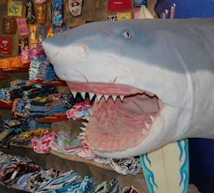 Shopping Center Maspalomas