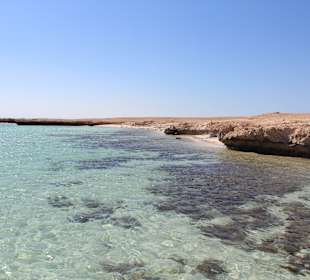 Paradise - wycieczka