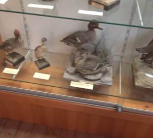 Heimatmuseum Oberstdorf