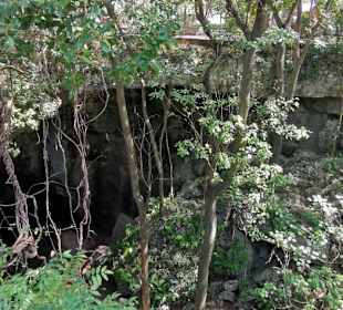 Ausflug zum National Park Los Tres Ojos mit Andy