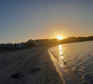 Strand Alcudia