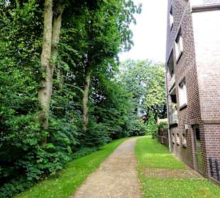 Spaziergang über den Stadtwall Wildeshausen