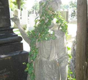 "Weiße Frau" von Wien