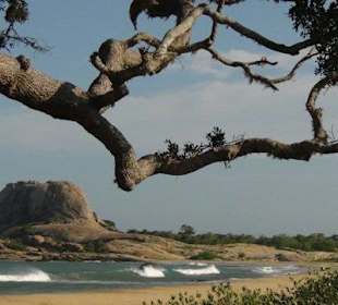 Küstenparorama im Yala Nationalpark
