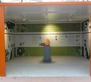 Raffeiner Orchideenwelt