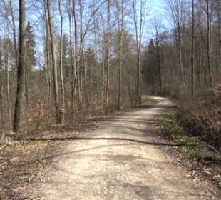 Premiumwanderweg "hochgeblickt"