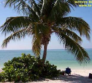 Strand von Marathon (Florida Keys)