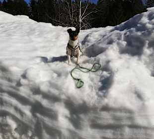 Wandern Bad Mitterndorf