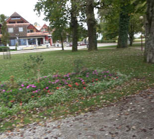 Stadtrundgang Kressbronn