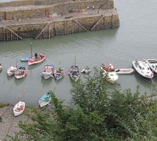 Clovelly,  Hafen