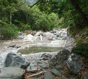 An der Madre der Levada do Costelejo