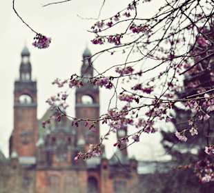 Ślad wiosny na tle Kelvingrove Art Gallery