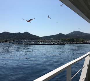 Hafen Skala Potamias