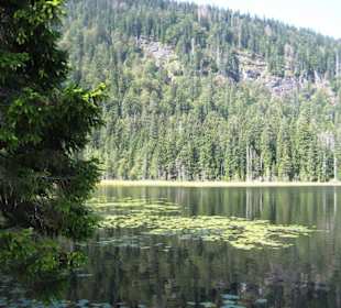 Seeufer mit steil geneigten Hängen
