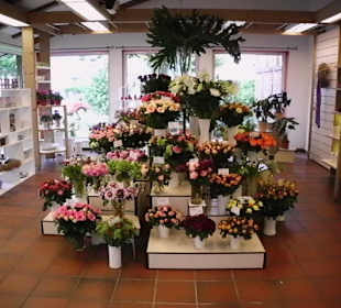 Schnittblumen