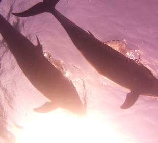 Herrlicher Tagesausflug...