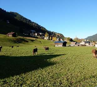 Wandern Mittelberg (Vorarlberg)