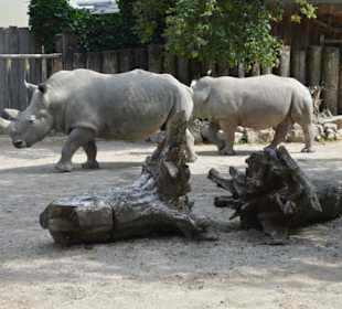 Allwetterzoo Münster
