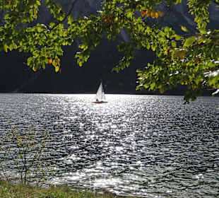 Mildes Gegenlicht im Herbst