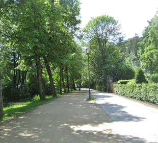 Weg am Kanal  Richtung Altenheim