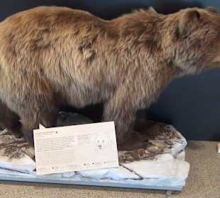 Nationalparkzentrum Haus der Berge