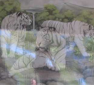 В зоопарке Бали - на продажу