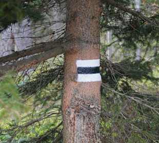 Berg Schneekoppe/Śnieżka