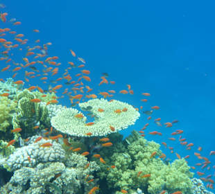 Ausflug in die Sataya Bucht