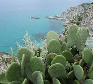 Ausblick und Kakteen