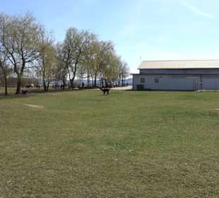 Alpakafarm Schaber