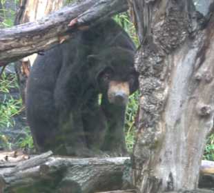 Tierpark 