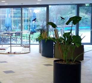 Südpfalz Therme in Bad Bergzabern