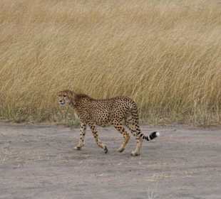 geschaft, endlich Ruhe