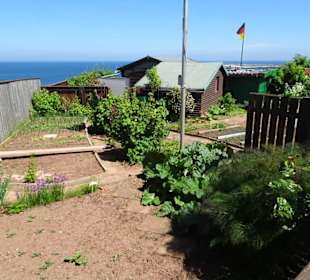 Rundgang durch die Schrebergarten-Kolonie