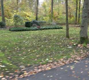 Waldfriedhof