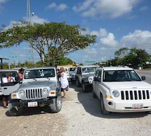 Gruppe von ca 8-10 Jeeps