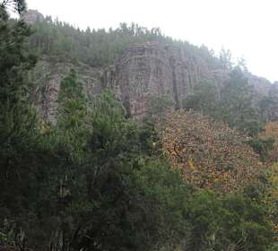 Wunderschöne Wanderung durch Orotava-Tal