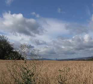 Themenweg Kaiserweg Zimmern