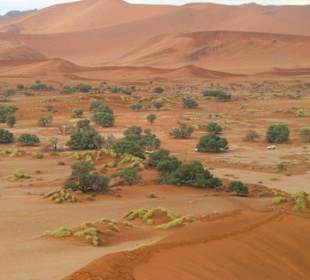 Die rote Dünenlandschaft nach Regen
