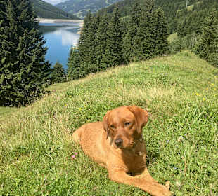 Wandern Ried im Zillertal