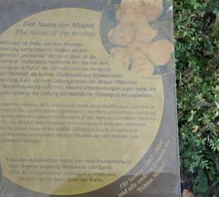 Botanischer Garten