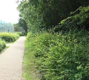 Sport- und Freizeiteinrichtung im Grieß