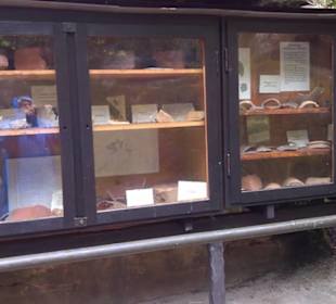 Felsenburg Neurathen