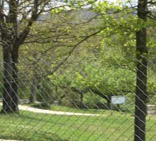 Römisches Freilichtmuseum Hechingen-Stein