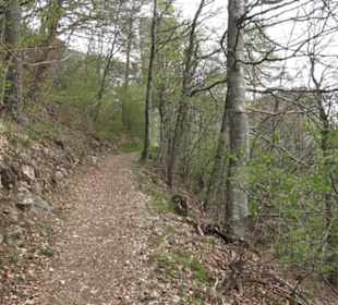 Burgruine Hohenhundersingen