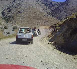 Offroad auf 1000 m NN