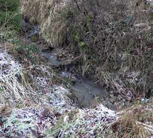 Ochsenweiher Rundweg