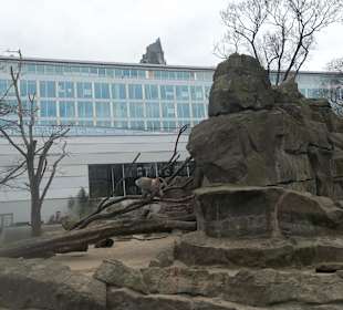 ZOO Berlin