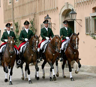 Hengstparade in Moritzburg