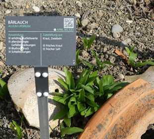 Erläuterungen der Kräuter